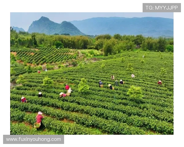 梅州客家文化的传承发展与新时代乡村振兴融合路径探索