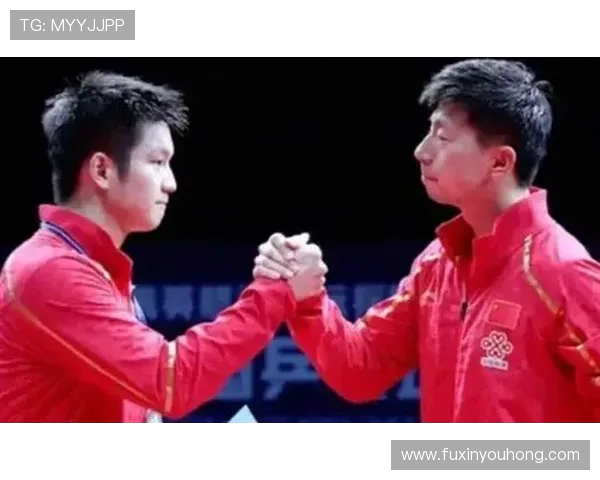 乒乓球专题：深入探讨北京乒乓球队的默契配合与战术协作