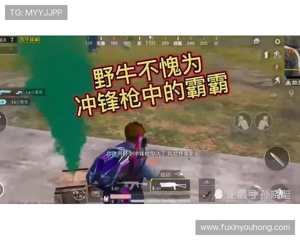 和平精英热议：WE战术选择引发玩家热烈讨论与争议