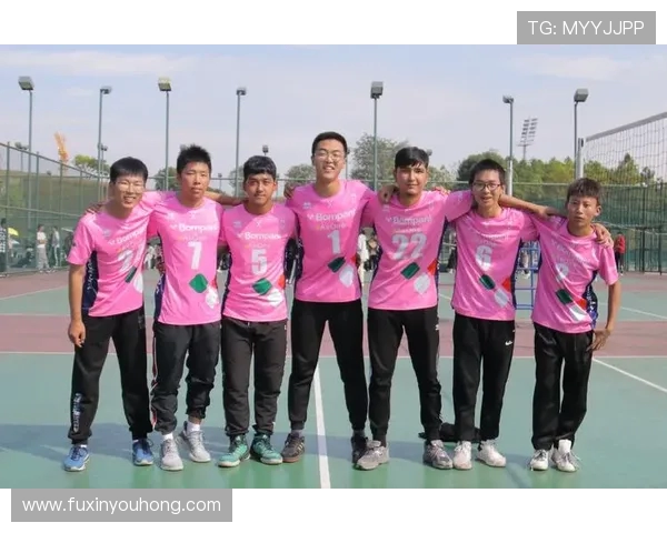 成都排球队在全国排球团队协作排行榜中荣获第五名的佳绩