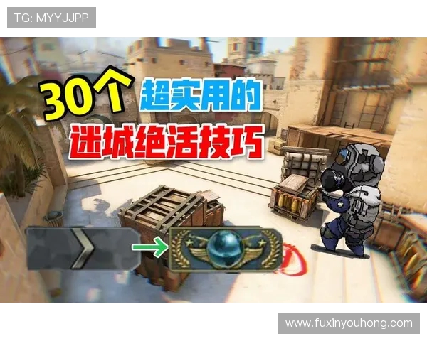 科学CSGO配合训练方法探究与实用技巧分享